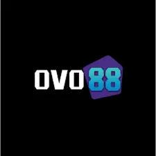OVO88 - Aplikasi Kolase Foto Terbaik untuk Kreativitas Anda